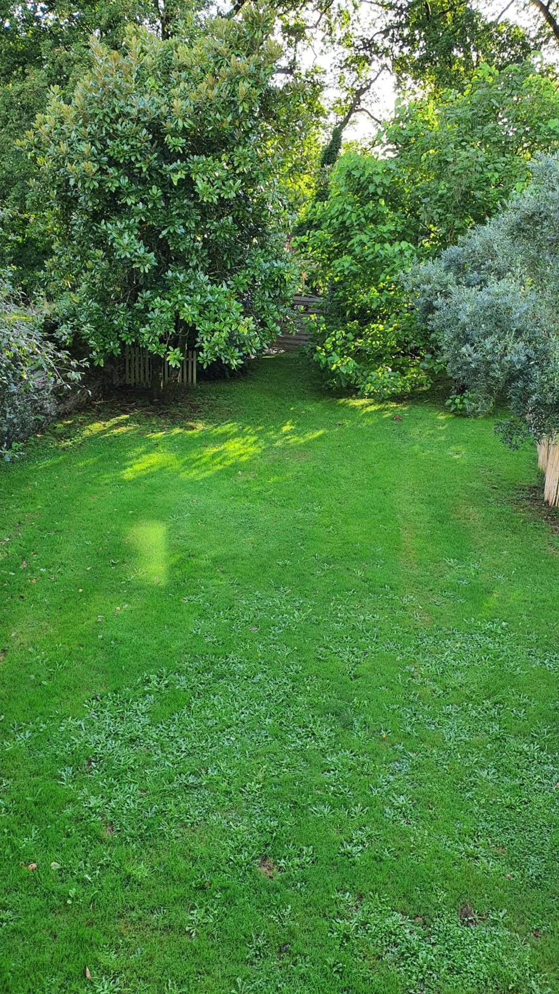 Gites De Maner Ster - Le Frene Piscine Ou Le Chene Piscine Et Spa Privatif Cleden-Poher Bagian luar foto